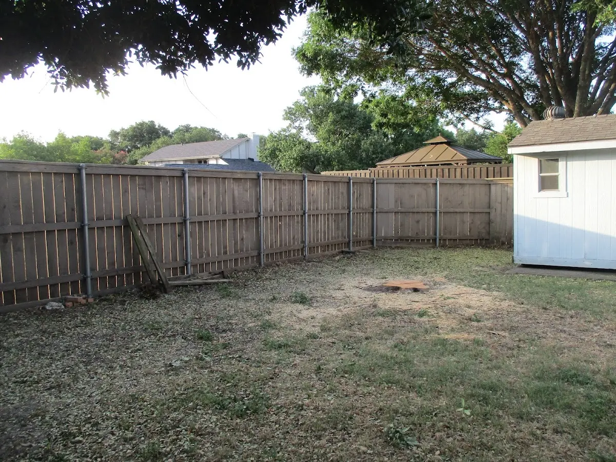 Cleared yard after professional tree removal in East Jordan