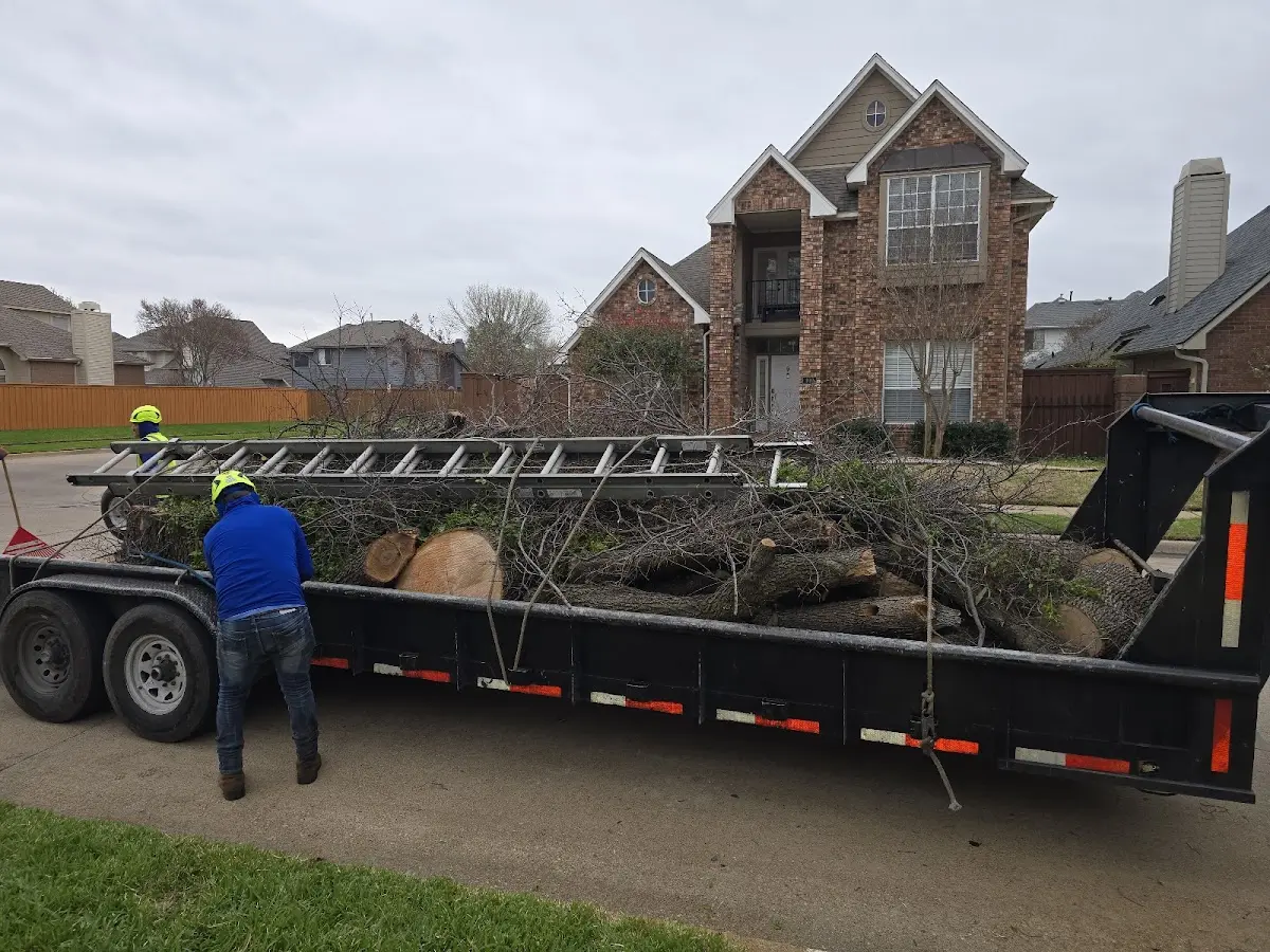 Expert Tree Fertilization with proper safety equipment in East Jordan